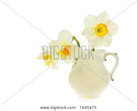 Narcissuses en una jarra blanca