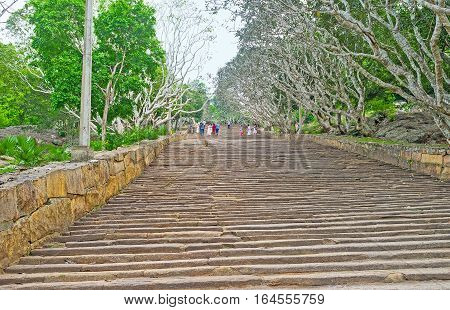 The Long Way