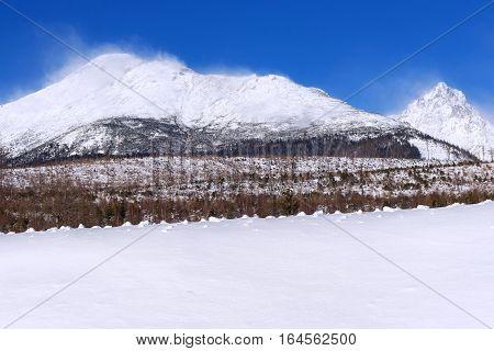 View of the High Tatras mountains with the peaks covered with snow from Horny Smokovec. Slovakia.