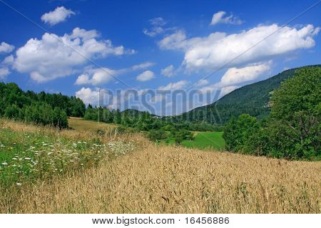 Maravilloso paisaje