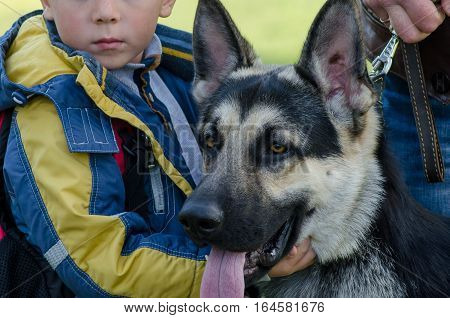 Boy walking with dad and the dog breed German shepherd in the park.