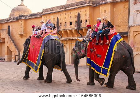 Amber, India - November 13: Unidentified People Ride Decorated Elephants In Jaleb Chowk In Amber For