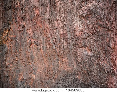 Wooden background texture making from the cement