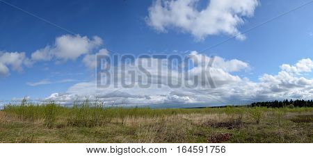 Fields near the garden in the morning Russia