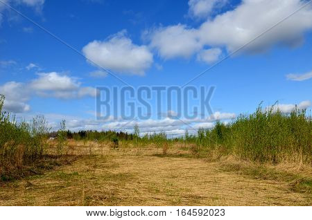 Fields near the garden in the morning Russia