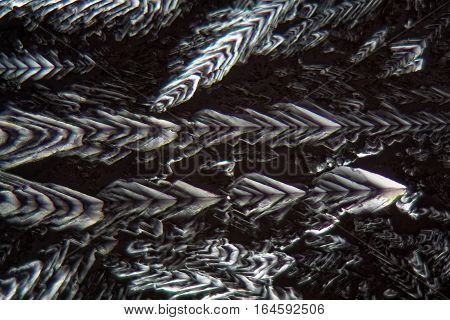 Crystals of Erythritol under the microscope. Erythritol is a sweetener for food.