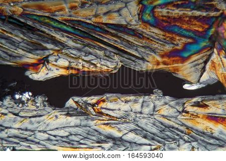 Crystals of Erythritol under the microscope. Erythritol is a sweetener for food.