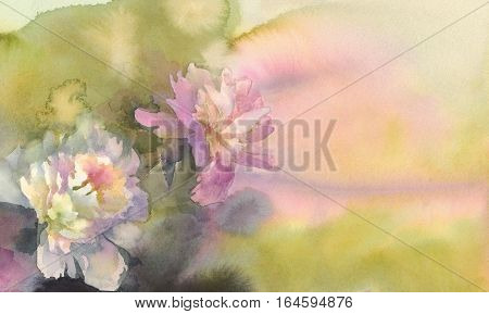 Bouquet of white and pink peonies watercolor illiustration. Wedding card. Summer bloom.