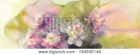 Bouquet of white and pink peonies watercolor illiustration. Wedding card. Summer bloom.