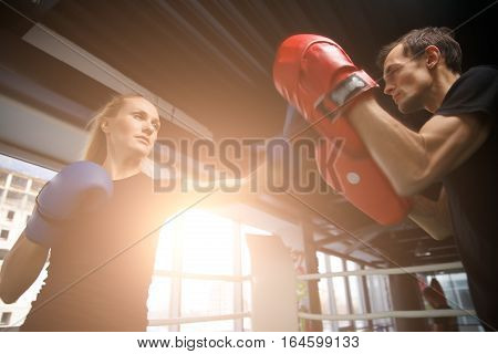 Young sportsmens compete in boxing in gym in sportswear