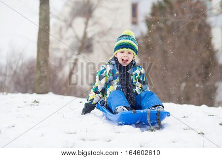 Two Kids, Boy Brothers, Sliding With Bob In The Snow, Wintertime
