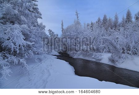 Snow-covered trees along the banks of the unfrozen creek