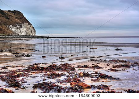 A view of the beach and surrounding rock at the North Landing at Flamborough Head on the north Yorkshire coast.