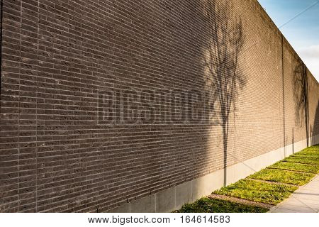 High brick wall with shadows falling on her from the trees