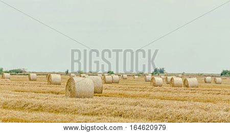 Countryside Field With Hay Bales, Baler, Blue Cloudy Sky.