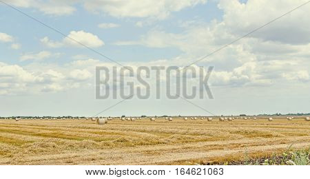 Countryside Field With Hay Bales, Baler, Blue Cloudy Sky.
