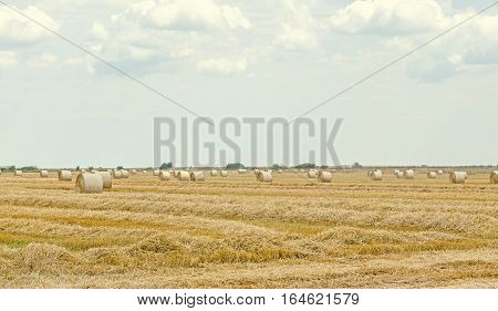 Countryside Field With Hay Bales, Baler, Blue Cloudy Sky.