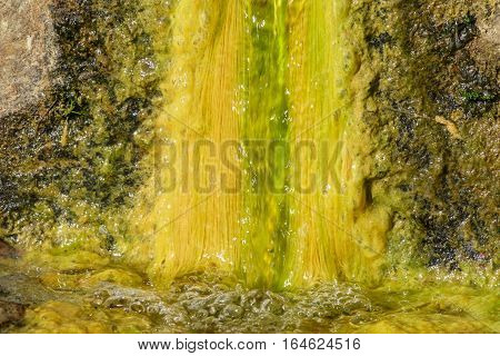 Closeup of colored fountain with slime covered water