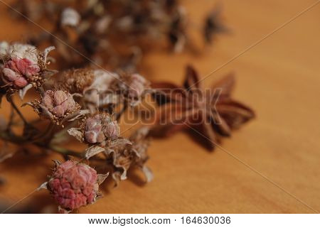 Sprig of dried raspberry and star anise on a wooden board, depth of field macro
