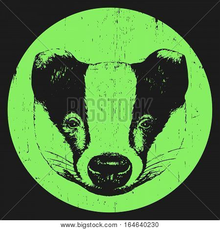 Portrait of Badger. Hand drawn illustration. Vector
