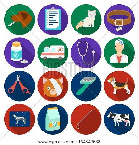 Veterinary clinic set icons in flat design. Big collection of veterinary clinic vector symbol stock illustration