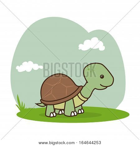 cute turtle isolated icon vector illustration design