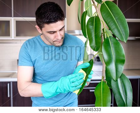 Adult Man Cleaning Pipal In Kitchen