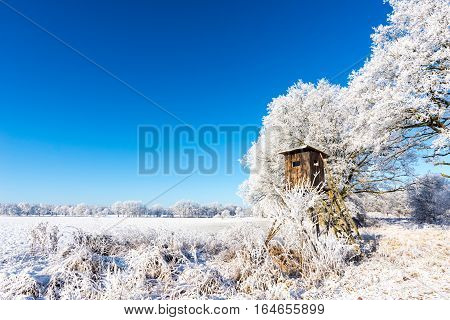 Wooden Brown Hunting Shelter Next To Frozen Trees