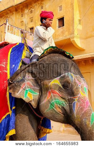 Amber, India - November 13: Unidentified Man Rides Decorated Elephant In Jaleb Chowk In Amber Fort O