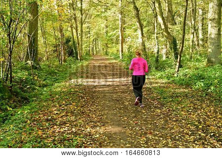 Verneuil sur Seine; France - october 30 2016 : jogger in the forest in the west of the city