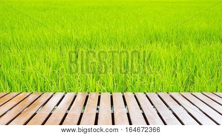 Wood floors in the field wood and confield background