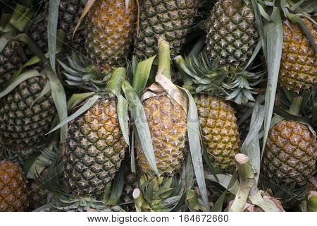 Thailand Isan Nong Khai Market Pineaple
