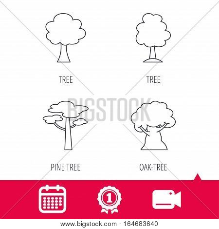 Achievement and video cam signs. Pine tree, oak-tree icons. Forest trees linear signs. Calendar icon. Vector