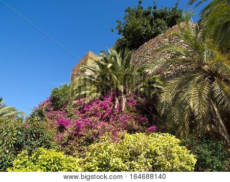 the  big Castle of malage in spain