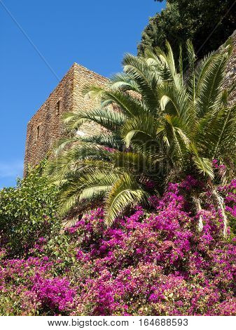 the  big Castle of malage in spain