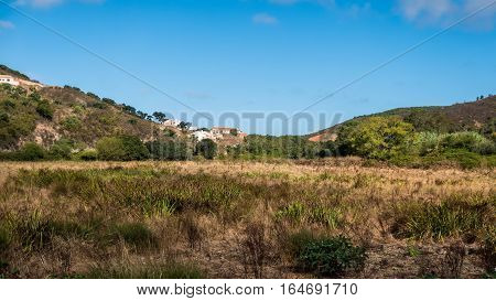 Portugal - Meadow In The Country