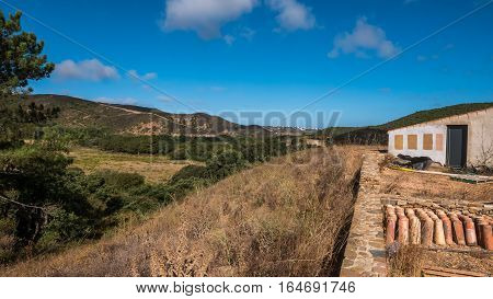 Portugal - Meadow In The Country
