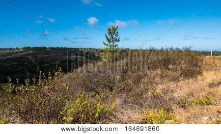 Portugal - Meadow In The Country