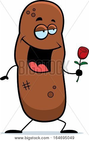 Cartoon Turd Rose