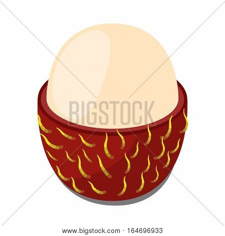 Rambutan tropical fruit. Exotic vitamin nutrition. Juicy ripe fruit in flat vector style. Natural organic rambutan.