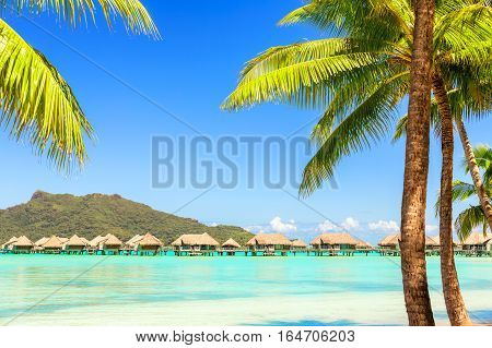 View of the Otemanu mountain with palm tree and stunning lagoon Bora-Bora Tahiti French Polynesia