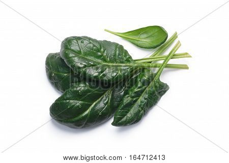 Spinach (spinacia Oleracea) Leaves, Top View, Paths