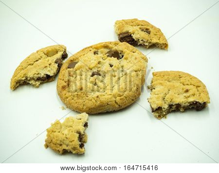 Chocolate chip cookie and crumbs on white background