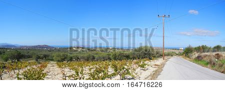 island of Crete high mountains panorama trees olives