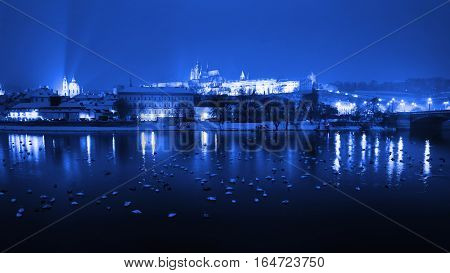 Night winter Prague the Castle and St. Vitus Cathedral. Snowy roofs of the old town in the background Prague Castle. Czech Republic. Swans on the River Vltava. Blue colored.