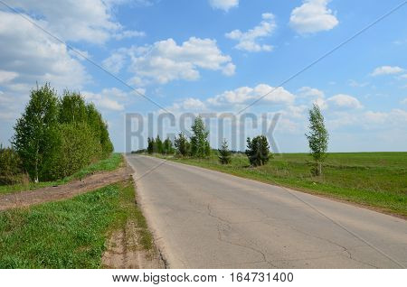 Fields Near The Garden In Russia