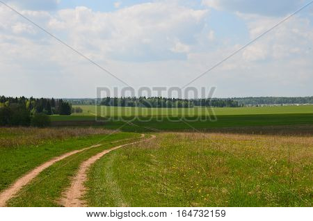 Fields Near The Garden In Russia
