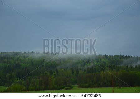 Fields Near The Garden In Russia