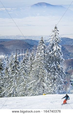 Winter landscape in the mountains with snow covering the pines and a snowboarder going down the ski slope. View of the Poiana Brasov ski resort from Romania in the winter season.