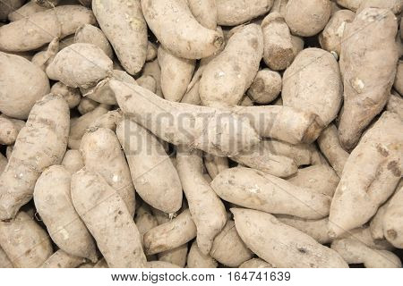 fresh yacon selling at the outdoor market